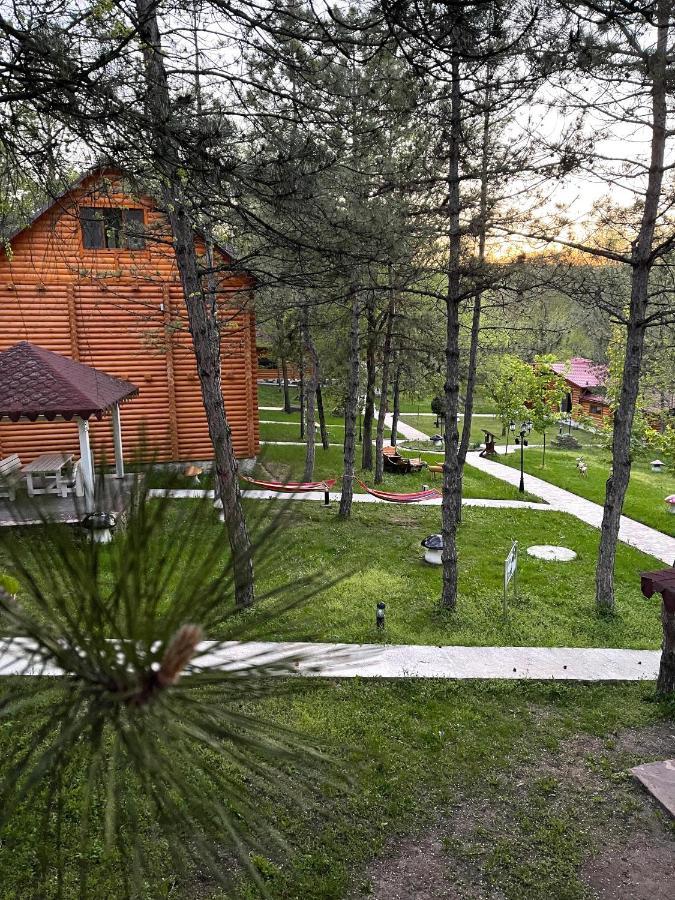 Sky Land Camping & Resort Cricova 外观 照片
